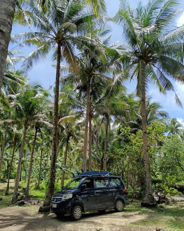 GIUSA Surf School instructors